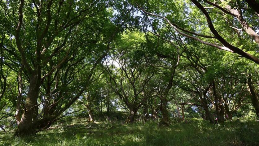 info-836-472 info-836-472